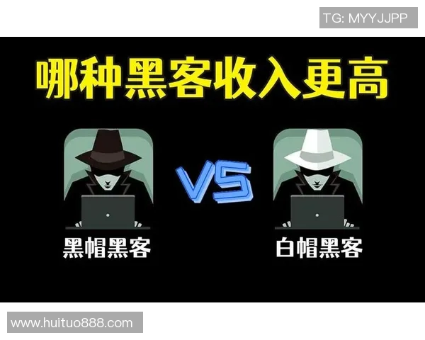 白帽黑客与竞技比赛的全面对比与发展趋势分析